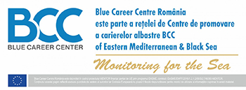 Blue Career Centre Romania