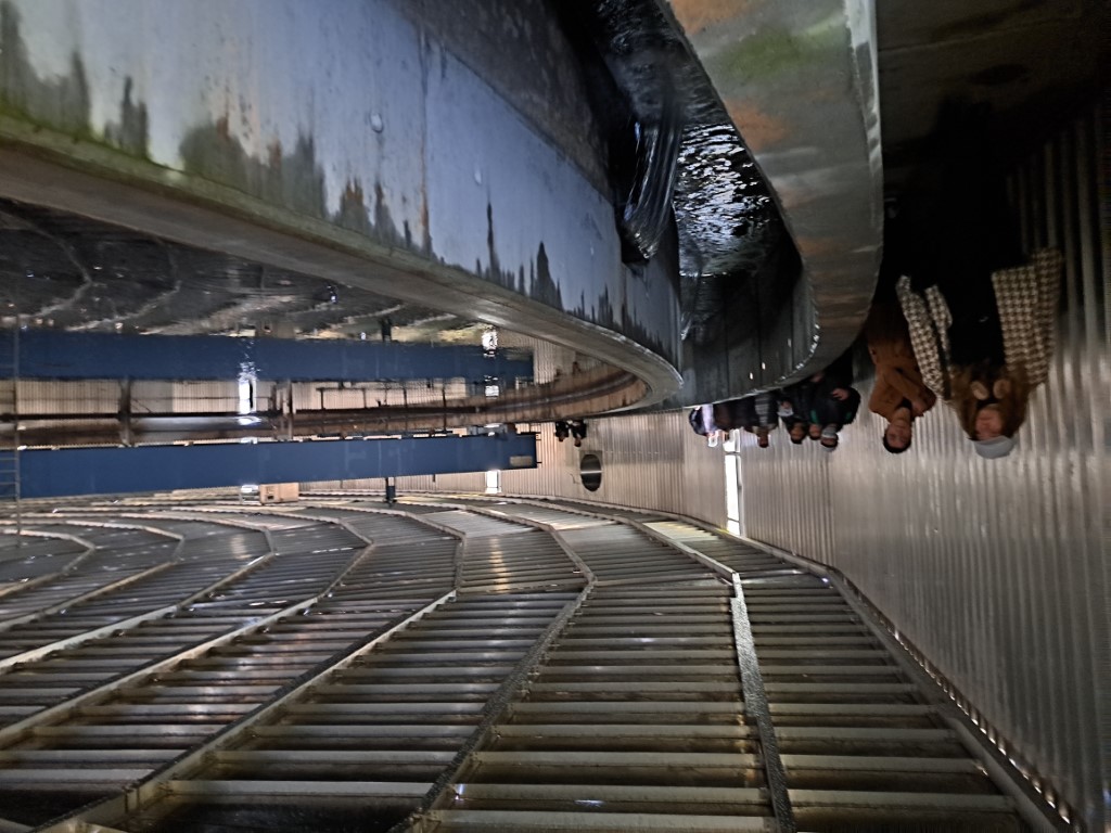 20231114_104652 (Medium)